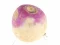 Turnip