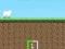 Crazy Sheep