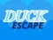 Duck Escape