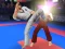 Karate Fighter