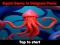 Squid Game In Dalgona Panic