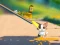 Cat Challenge