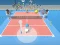 Tennis Clash
