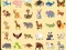 Discover Animals
