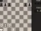 Fun Chess Puzzles!