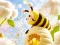 Find The Differences: Little Bee's Adventure