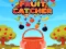 Fruit Catchere