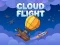 Cloud Flight