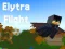 Elytra Flight