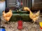 Poultry Farm Easter Escape