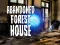 Abandoned Forest House