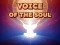 Voice Of The Soul