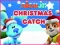 Nick Jr. Christmas Catch