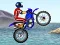 FMX team