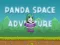 Panda Space Adventure