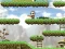 Maple story