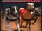 Greyhound Racing