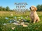 Playful Puppy Outdoor Puzzle