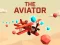 The aviator