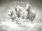 Horses Puzzle