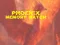Phoenix Memory Match