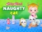 Baby Hazel - naughty cat