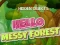 Hidden Objects Hello Messy Forest