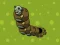 Zombie Worms