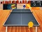 Table Tennis Championship