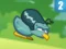 Kiwi Adventure 2