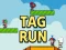 Tag Run