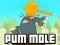 Pum-Mole