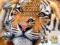 Jigsaw Puzzles Classic