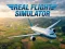 Real Flight Simulator