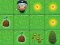 Magic Seeds