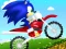 Sonic Ride