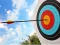 Archery: Bow & Arrow