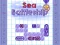 Sea Battleship