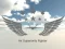 Air Superiority Fighter