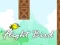 Flight Bird