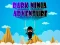 Dark Ninja Adventure