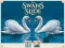 Swans Slide