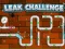 Leak Challenge