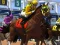 Horse Racing