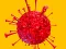 Fight Virus