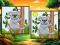 Animal: Find The Differences