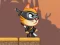 Ninja Cat Exploit