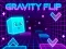 Gravity Flip