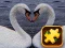 Swan Puzzle Challenge