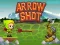Arrow Shoot